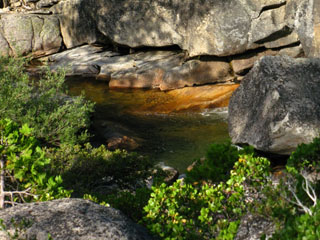 Summit City Creek flat below campsite